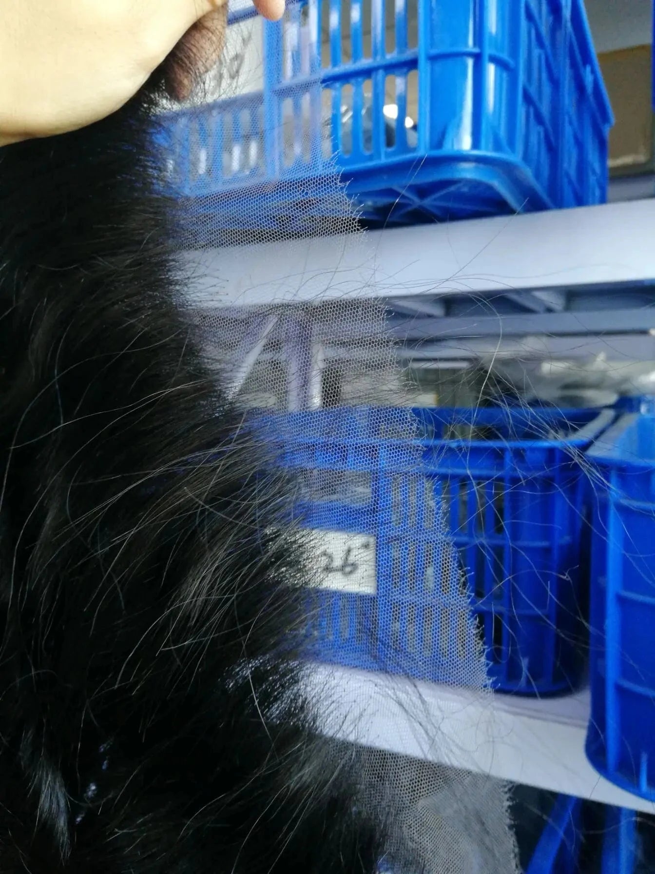 13x4 Frontal 1 piece Drop-shipping Service Top Quality Brazilian Hair Transparent Swiss Lace available 13by4 cheap factory price