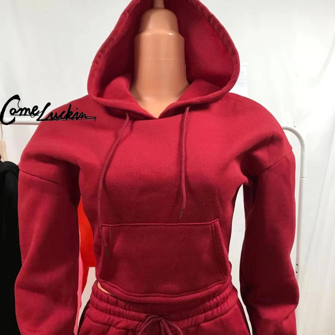 2 Piece Set 2024 Thick Fleece Stacked Sweatpants And Hoodie Jogger Two Piece Pants Set Women Sweatsuit Set Tracksuit