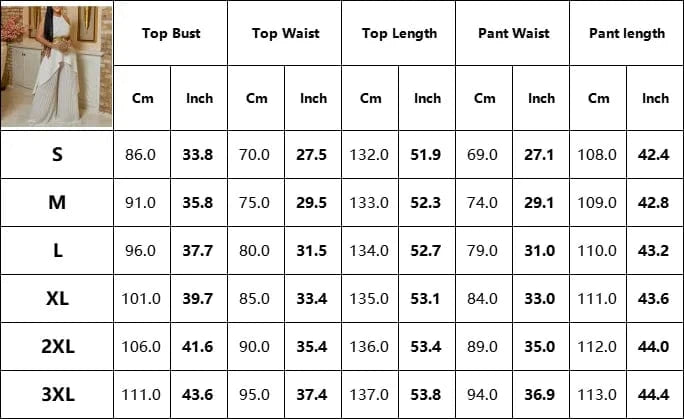 2 Pieces Pants Sets Womens Outfits Blouse Extra Long Sleeveless Backless Belt Waisted & Wide Leg Pants Pleated Floor Length Sets