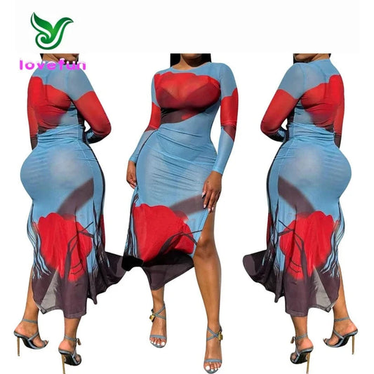 2024 New Arrivals Printed Mesh Bodycon Dress Spring Women's Clothing Sexy Split Long Dress For Ladies