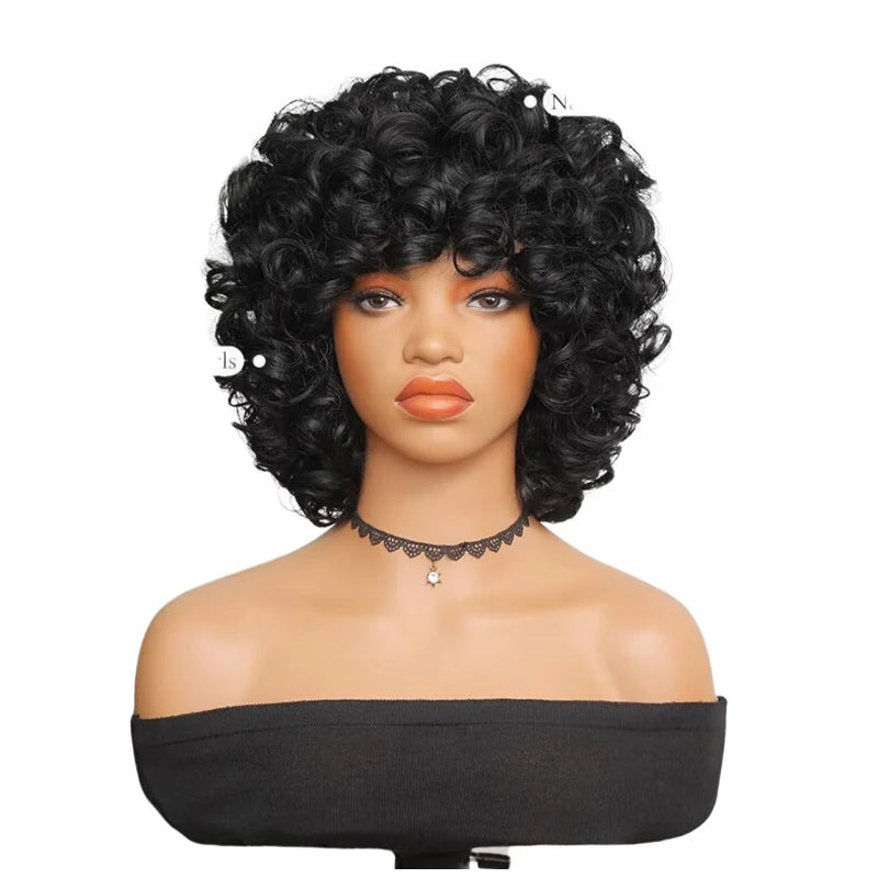 Curly Wigs for Black Women Short Kinky Curly Black Wigs for Women Big Curly Afro Soft Wig with Bangs Heat Resistant Natural Cute