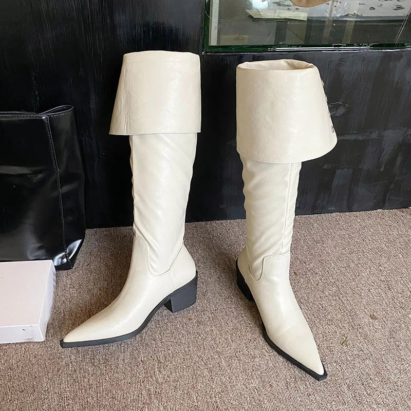 Modern Ladies Knee High Boots With Heels Shoes Female Slip On Footwear Fashion Pointed Toe Women Long Boots Pumps Shoes lady