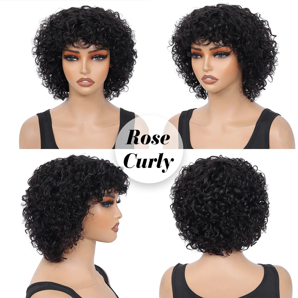 Pixie Cut Human Hair Wigs For Black Women Afro Rose Curly Funmi Glueless Wigs with Bangs Short Bouncy Curly Bob Wig With Bang