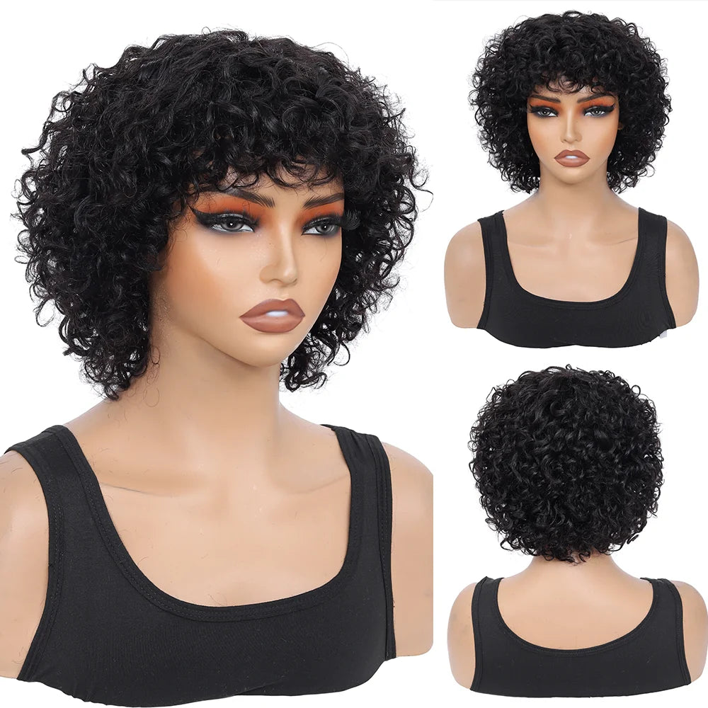 Pixie Cut Human Hair Wigs For Black Women Afro Rose Curly Funmi Glueless Wigs with Bangs Short Bouncy Curly Bob Wig With Bang