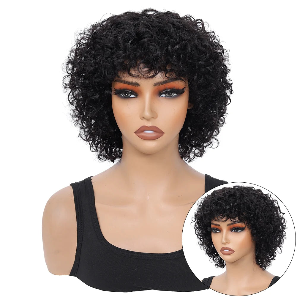 Pixie Cut Human Hair Wigs For Black Women Afro Rose Curly Funmi Glueless Wigs with Bangs Short Bouncy Curly Bob Wig With Bang