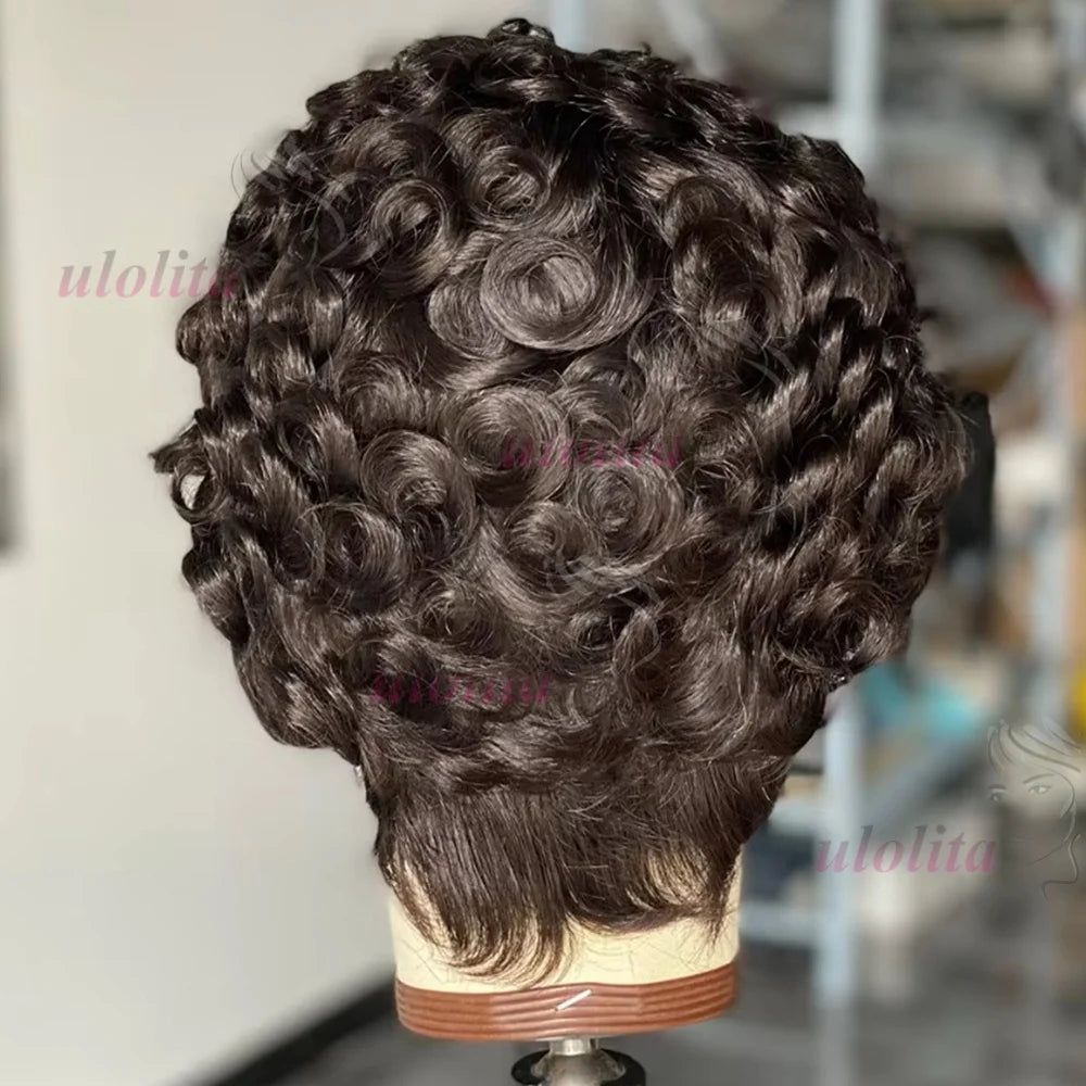 Curly Pixie Cut Lace Front Human Hair Wig for Women