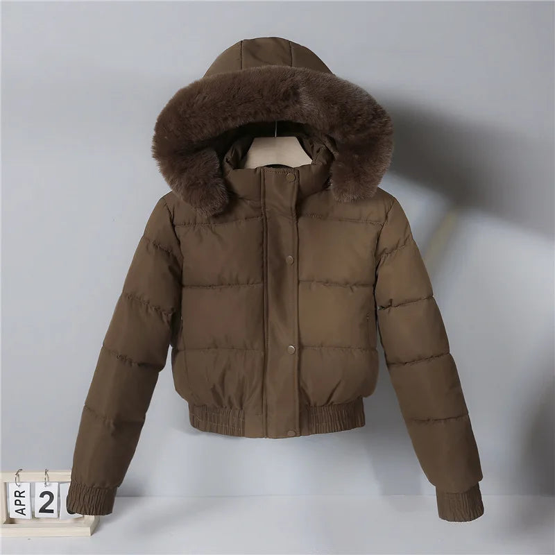 Solid Color Padded Winter Hooded Jacket
