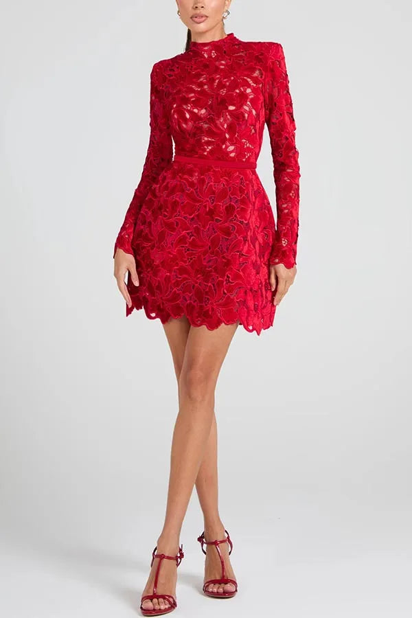Long Sleeve Simple Elegant Mini Dress, Women Spring Autumn O Neck Sweet Party Dress, Solid Patchwork Hollow Ladies Dress