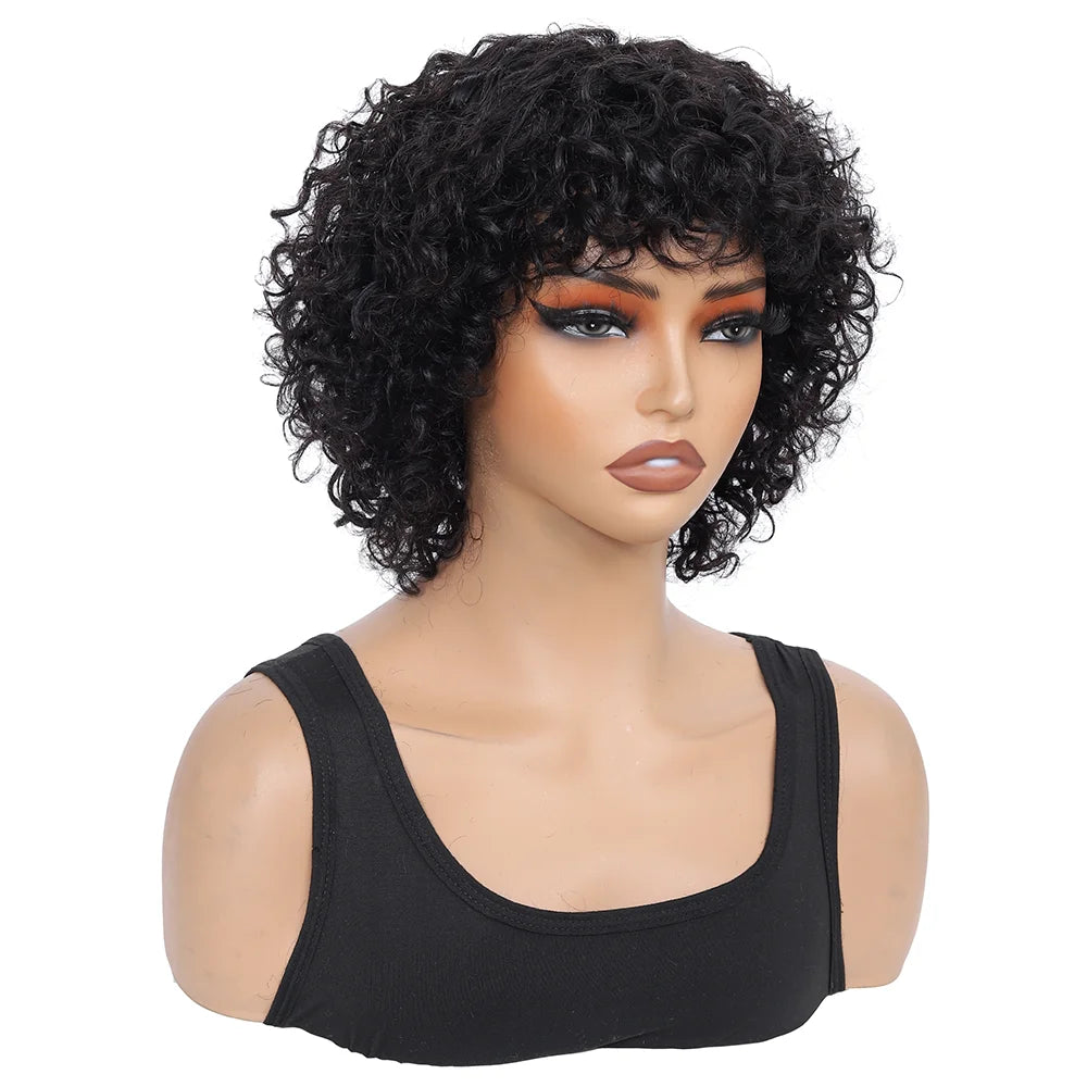 Pixie Cut Human Hair Wigs For Black Women Afro Rose Curly Funmi Glueless Wigs with Bangs Short Bouncy Curly Bob Wig With Bang