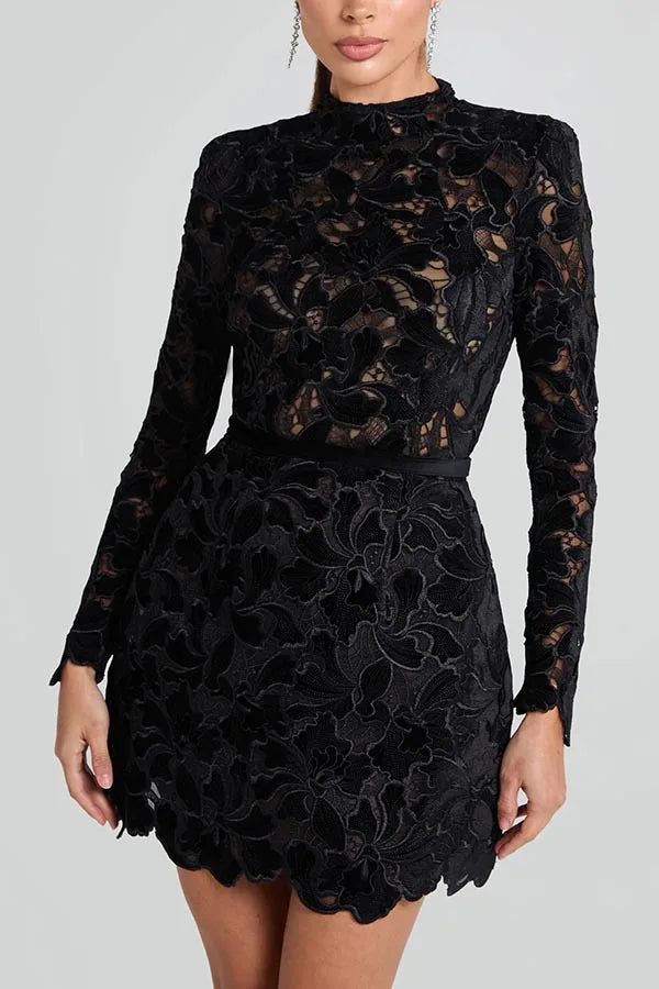 Long Sleeve Simple Elegant Mini Dress, Women Spring Autumn O Neck Sweet Party Dress, Solid Patchwork Hollow Ladies Dress
