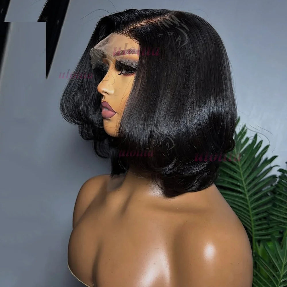 Layered Cut Straight Bob Wig Natural Color Lace Closure Wig Wear and Go 4x4/13x4 Glueless Wig Free Part Minimalist Lace Bob Wig