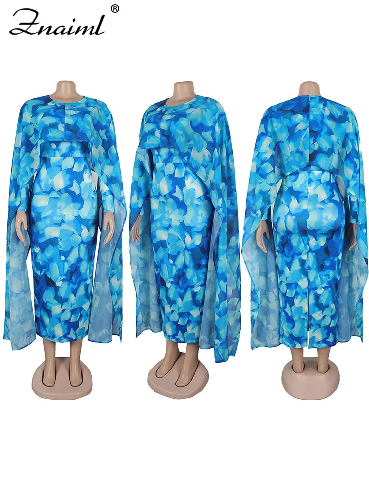Znaiml Elegant Women Long Sleeve Floral Print Boho Blue Maxi Dress Fall Sexy Evening Birthday Party Beach Club Prom Vestidos New