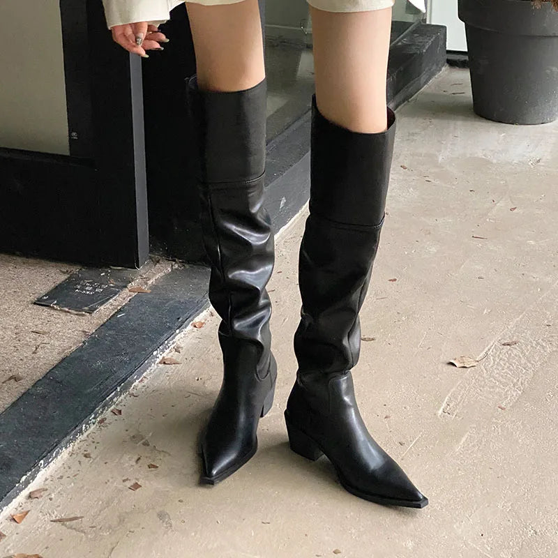 Modern Ladies Knee High Boots With Heels Shoes Female Slip On Footwear Fashion Pointed Toe Women Long Boots Pumps Shoes lady