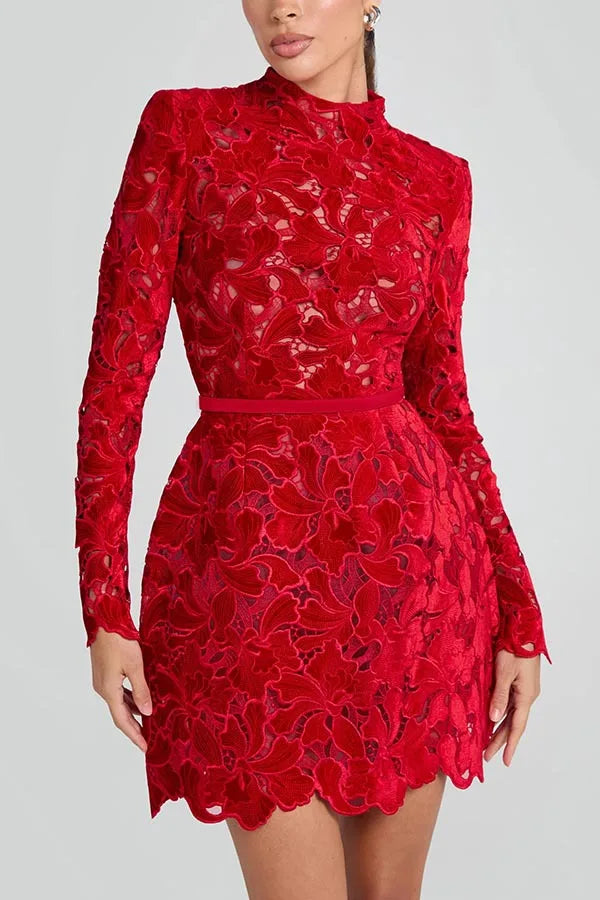 Long Sleeve Simple Elegant Mini Dress, Women Spring Autumn O Neck Sweet Party Dress, Solid Patchwork Hollow Ladies Dress