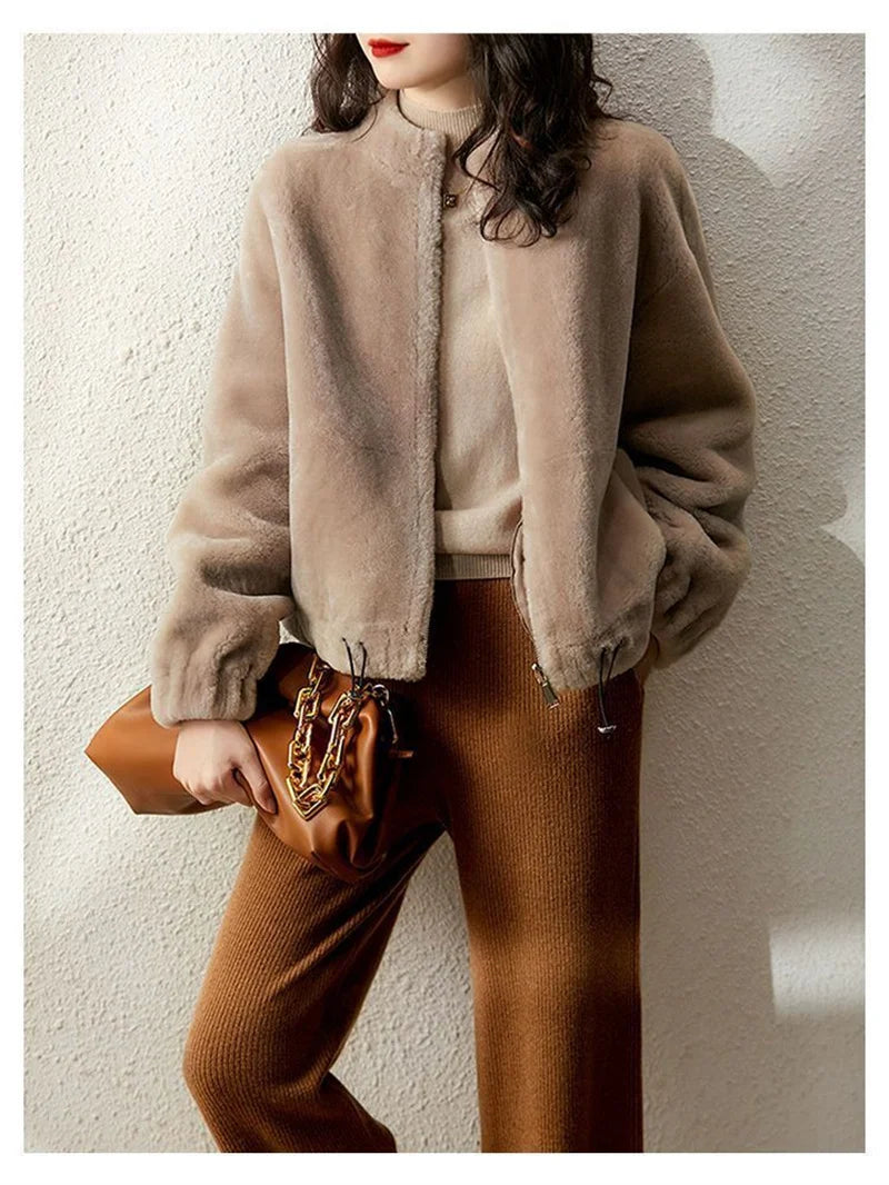 Fur Coat Integrated Stand Collar Jacket For Women 2023 New Autumn Winter Clothing Imitation Rabbit Mink Plush Loose Short Coat