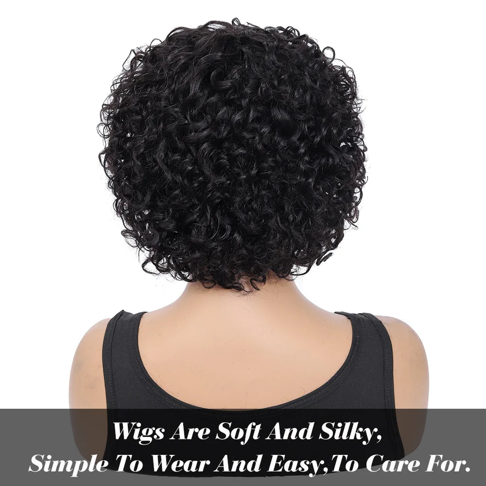 Pixie Cut Human Hair Wigs For Black Women Afro Rose Curly Funmi Glueless Wigs with Bangs Short Bouncy Curly Bob Wig With Bang