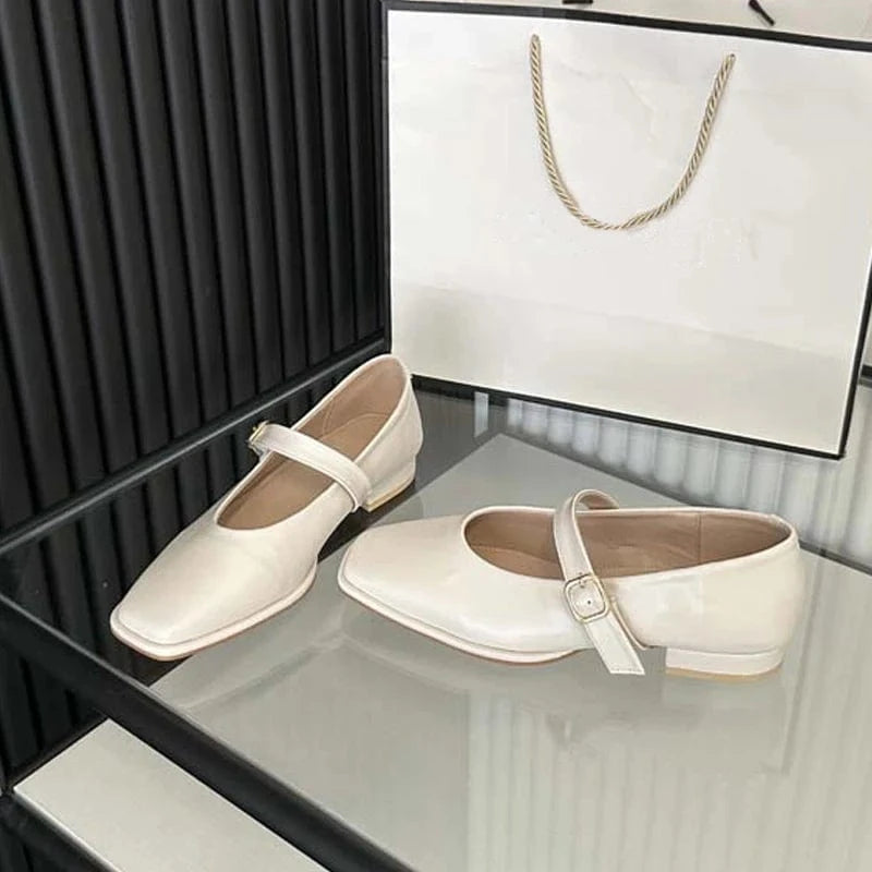 Aneikeh 2023 PU Shallow Spring/Autumn Square Head Buckle Strap Single Shoes Zapatos Women New Mary Jane Flat Retro Dance Shoes