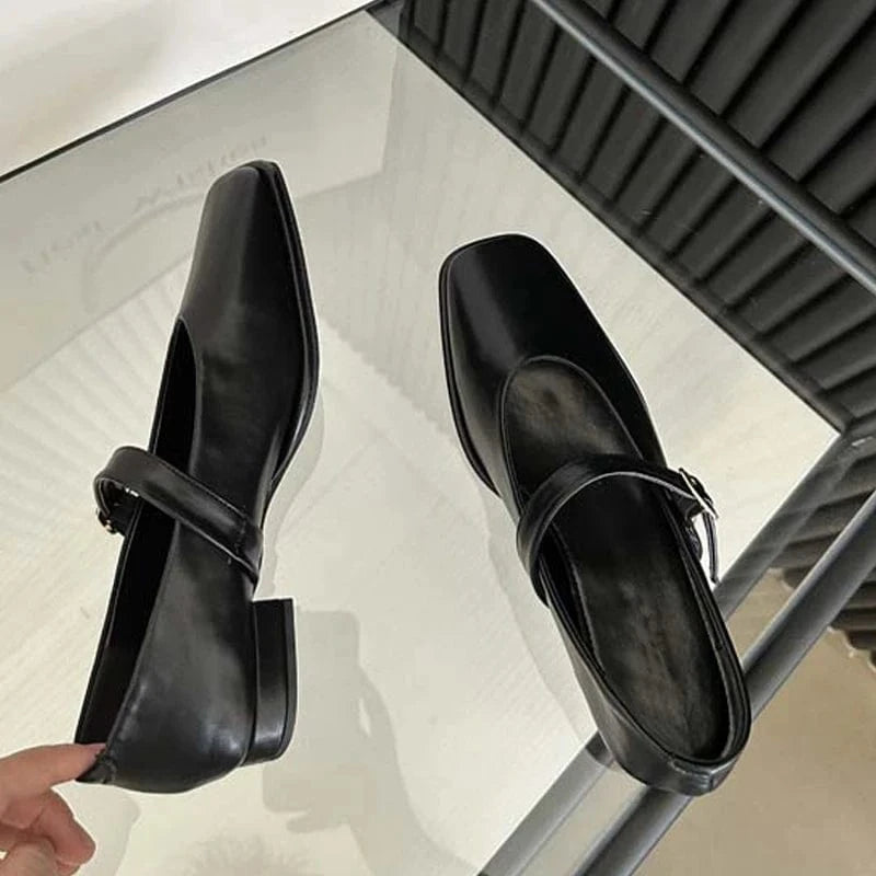 Aneikeh 2023 PU Shallow Spring/Autumn Square Head Buckle Strap Single Shoes Zapatos Women New Mary Jane Flat Retro Dance Shoes