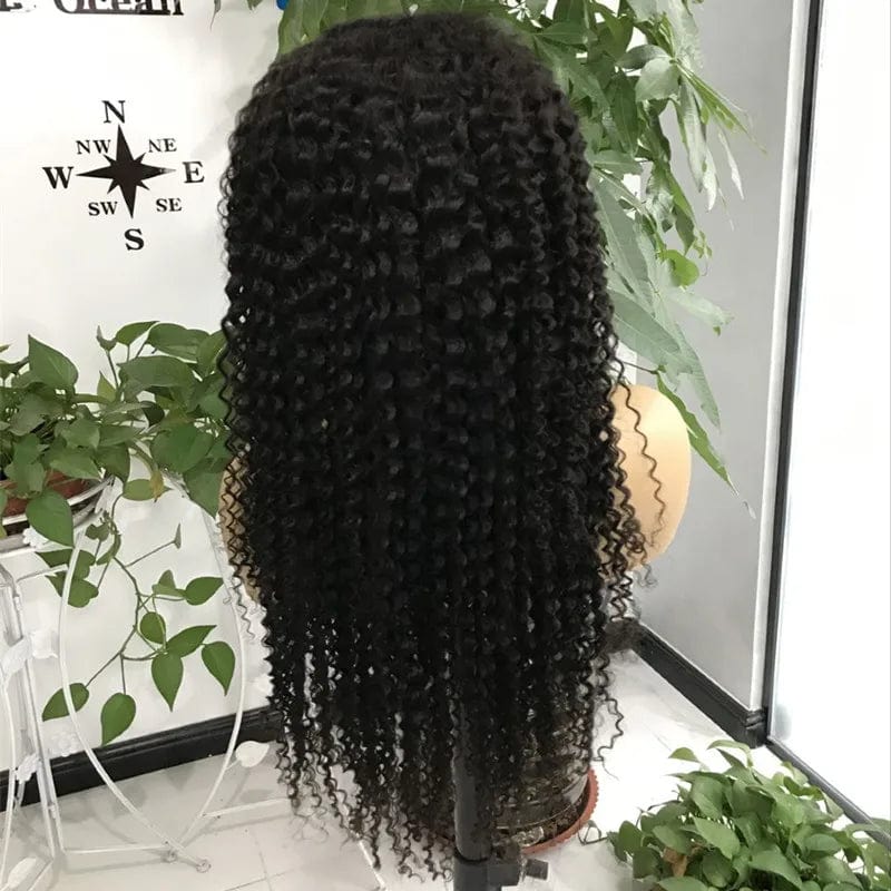 Black curly-150% / 24 Inches Small Knots Pre Plucked Hd Lace Front Wig Lace Human Hair Wig Transparent 1 Piece Brazilian Hair Long Swiss Lace Average Size