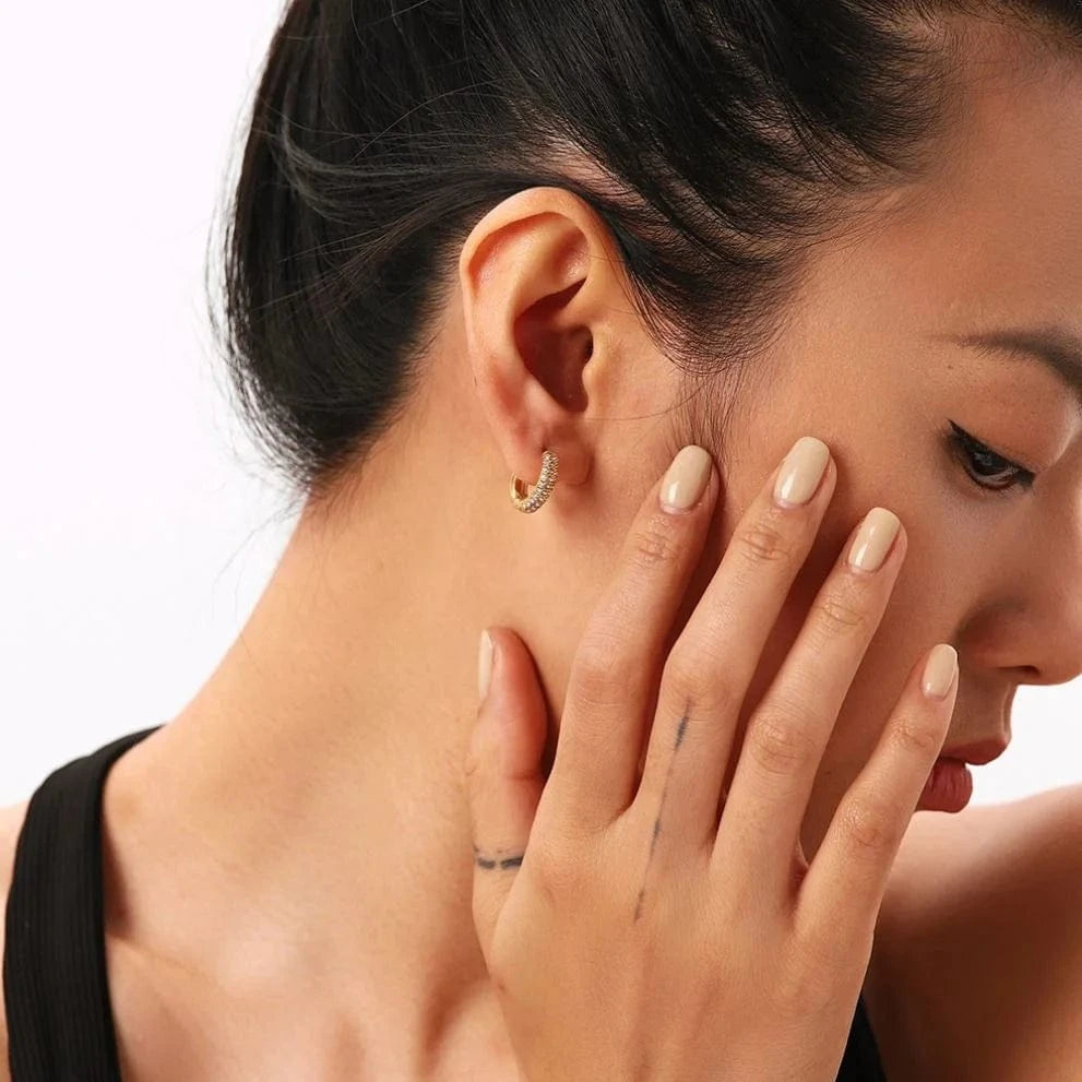 E2258 E2258 18K Gold Plated Clear Zircon Paved Hoop Earrings Waterproof Stainless Steel Zircon Huggie Earring