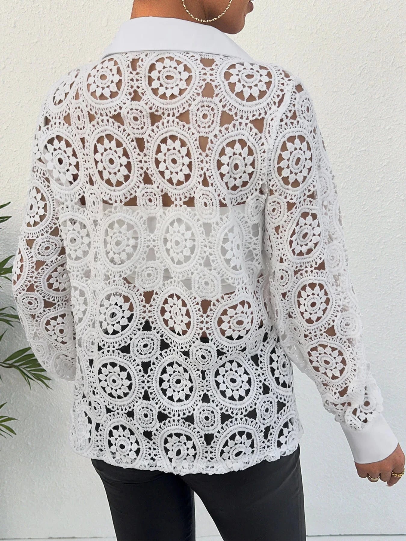 Paisley Lace Button Front Blouse, Hollow Out Long Sleeve Blouse For Spring & Summer, Women's Clothing