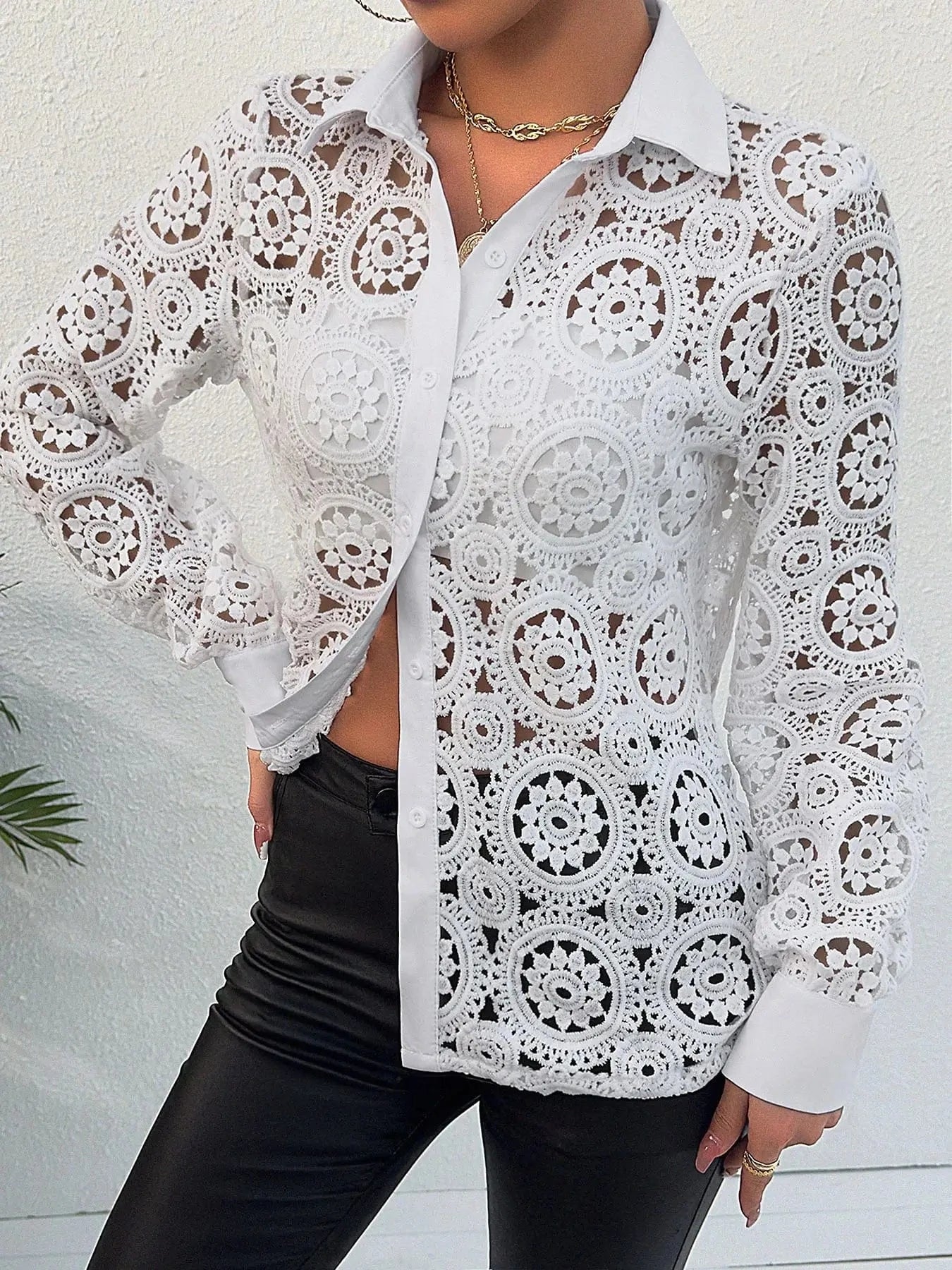 Paisley Lace Button Front Blouse, Hollow Out Long Sleeve Blouse For Spring & Summer, Women's Clothing