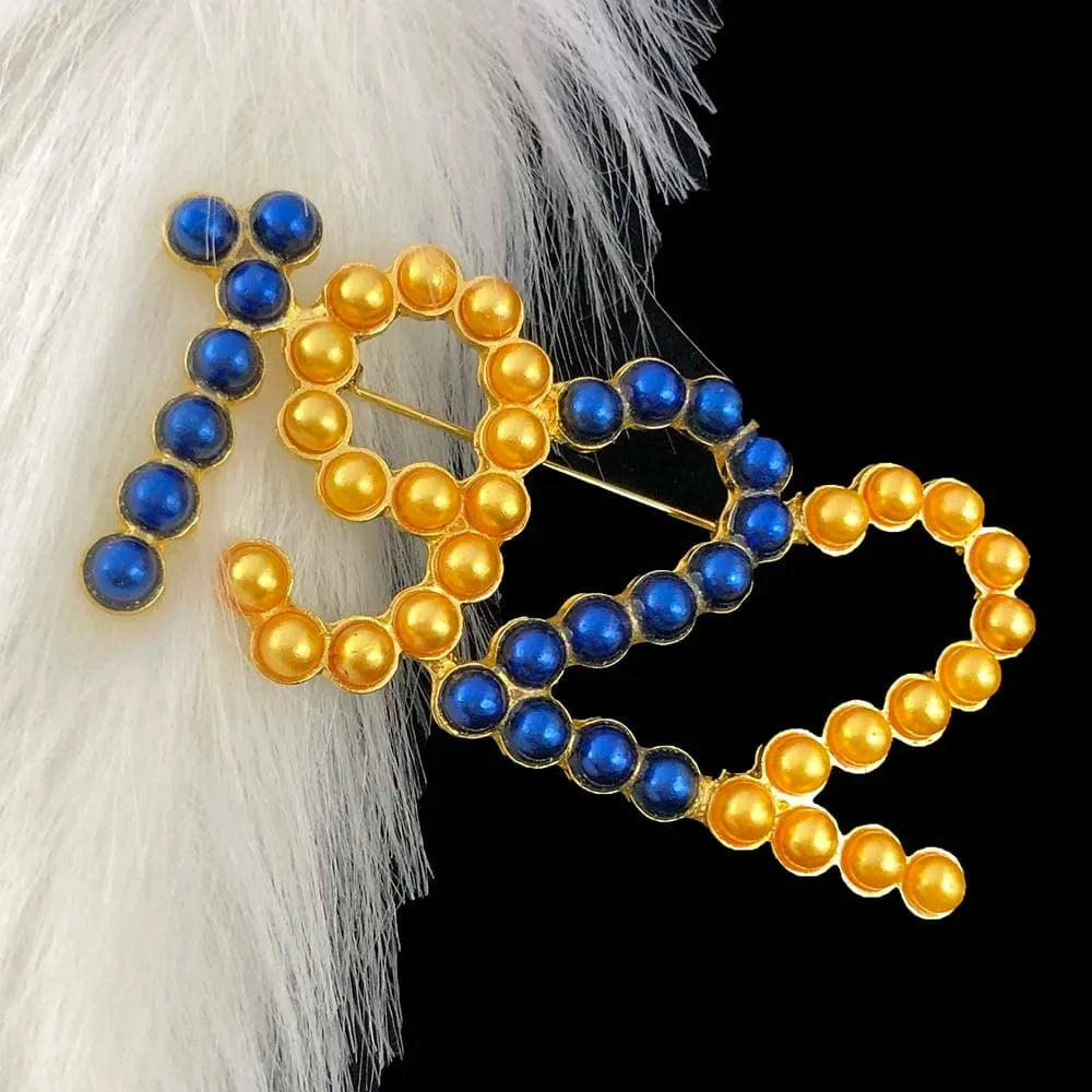 Pearl  Inlay Society Greek Paraphernalia Sorority Jewelry Gifts1922 Brooch Sigma Gamma Rho Jewelry Customize