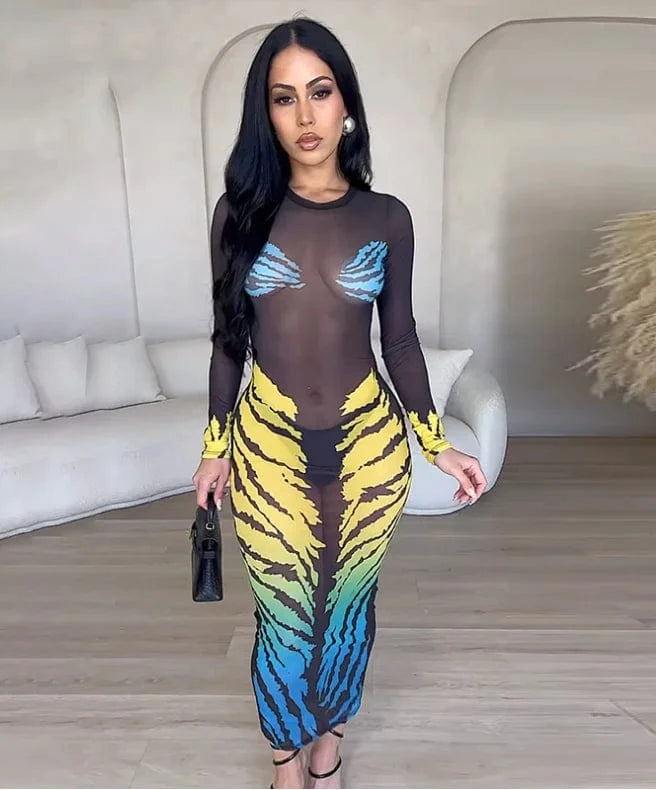 Sexy Club Party Mesh Maxi Dress Summer 2024 New Long Sleeve Leopard Printed Bodycon Dresses For Women Sheer Long Dress