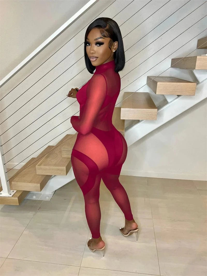 Sexy Sheer Mesh Jumpsuits Women Party Club Outfits Skinny Patchwork Long Sleeve See Through Rompers Womens Jumpsuit Midnight