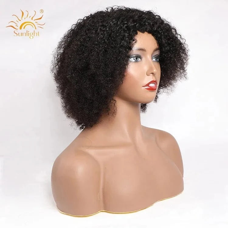 Sunlight Mongolian Kinky Curly Wig 150 Density Afro Kinky Curly 13x4 Lace Front Human Hair Wig Pre Plucked with Baby Hair