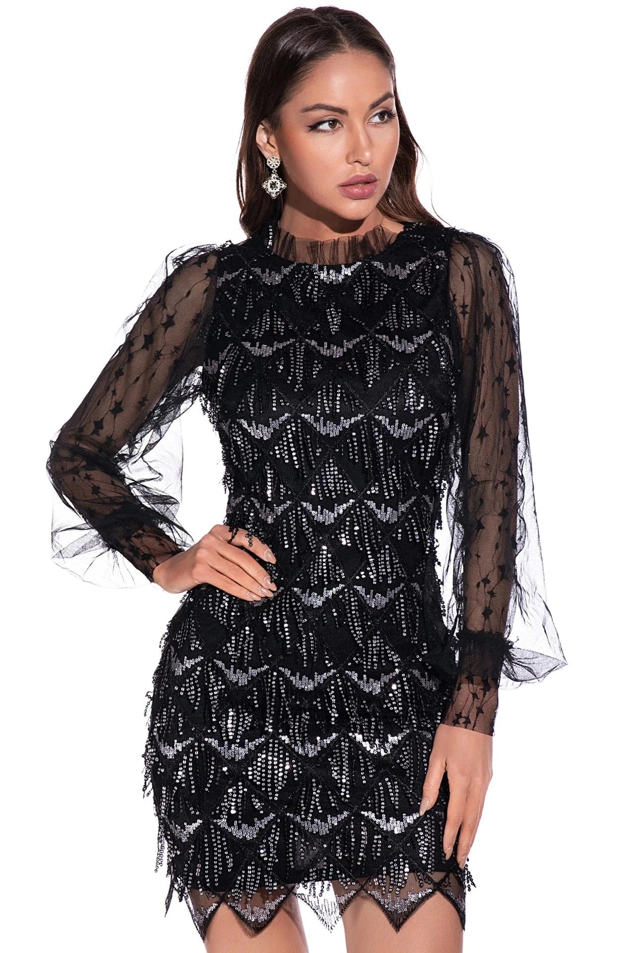Tassel Embroidered Sequin Dress Sexy Mesh Long Sleeve Women Party Evening Dress 2022 Discounted Price Fashion Full Stand Vintage