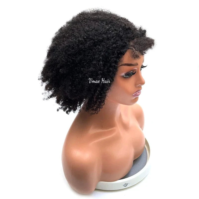 VMAE Vietnamese Wholesale Afro Kinky Curly Lace Frontal Cuticle Aligned Raw Human Hair Wigs Lace Front Wigs for Black Women