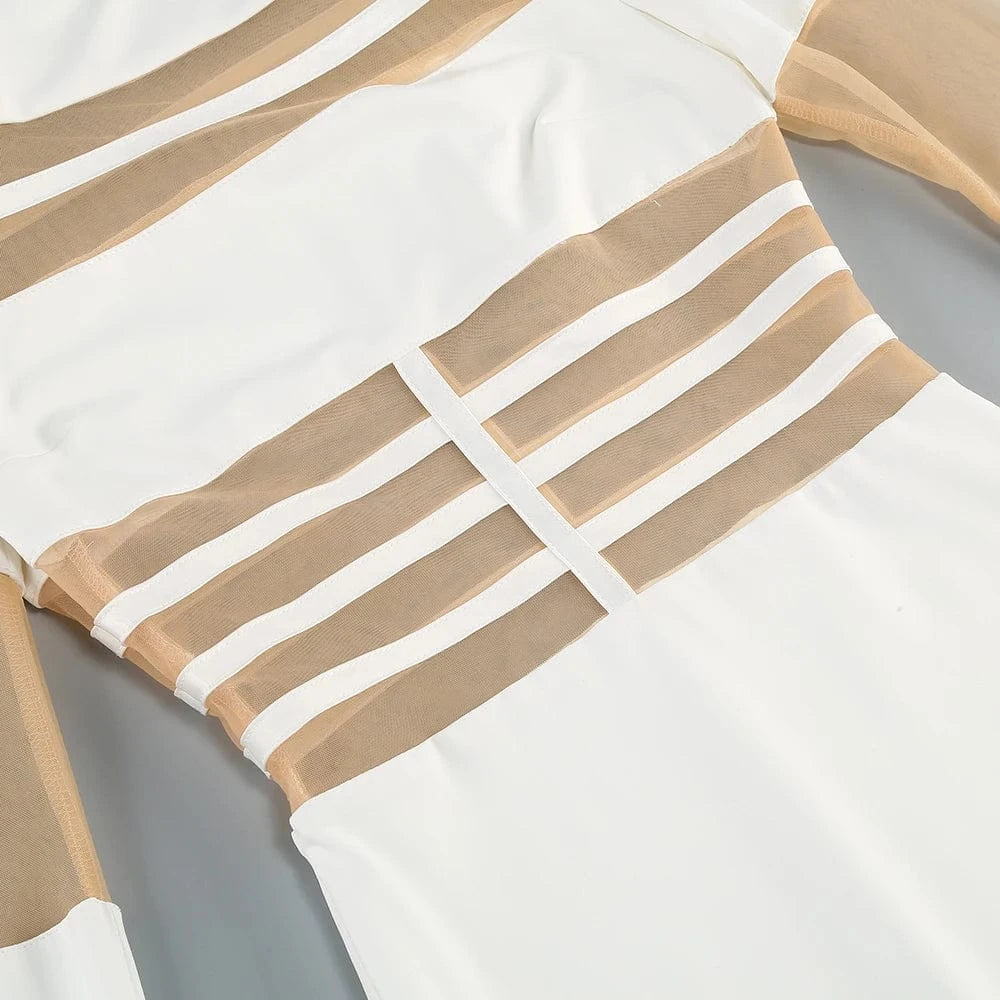 Women's 2025 Sexy Long Sleeve Mesh Ankle-Length Dress Celebrity Sheer Elegant Cut Out Details for Party Evening Club Vestido