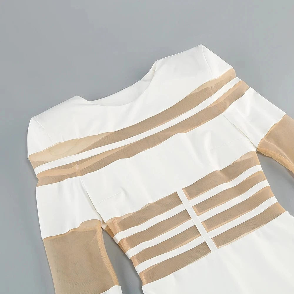 Women's 2025 Sexy Long Sleeve Mesh Ankle-Length Dress Celebrity Sheer Elegant Cut Out Details for Party Evening Club Vestido