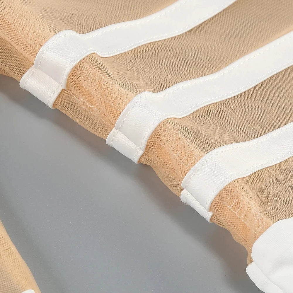 Women's 2025 Sexy Long Sleeve Mesh Ankle-Length Dress Celebrity Sheer Elegant Cut Out Details for Party Evening Club Vestido