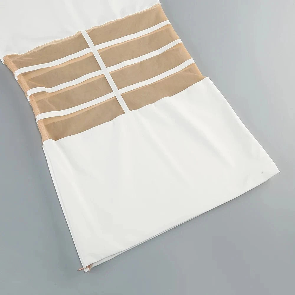 Women's 2025 Sexy Long Sleeve Mesh Ankle-Length Dress Celebrity Sheer Elegant Cut Out Details for Party Evening Club Vestido