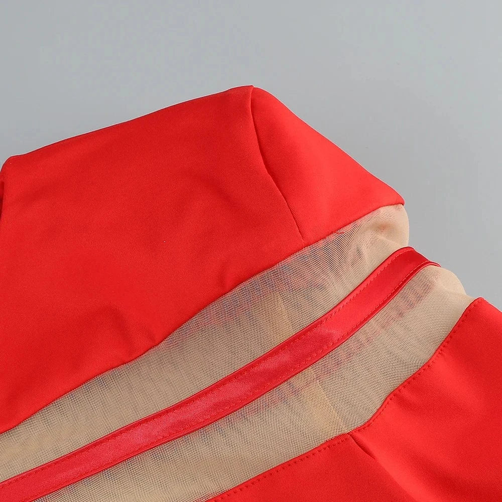 Women's 2025 Sexy Long Sleeve Mesh Ankle-Length Dress Celebrity Sheer Elegant Cut Out Details for Party Evening Club Vestido