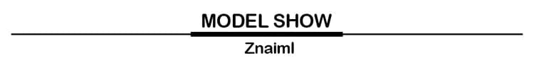 Znaiml Casual Printed Summer Women Turn-down Collar Button Up Shirt Top and Tassel Pants Two Piece Matching Sets Office Outfits