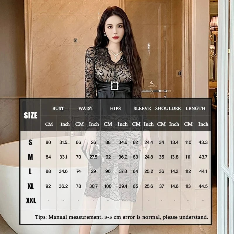 ZYHT 2024 20749 Black Lace Patchwork Long Sleeves Floral Embroidered Dress Sheer Layer Sexy Mature Women Slit Dress