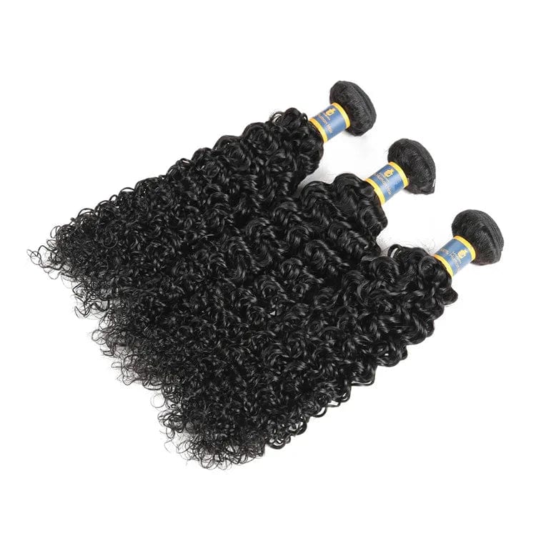 9A 10A 12A Lenaqueen Cheap Wholesale Brazilian Virgin Hair Brazilian Curly Hair,Curly Bundles with Closure for Black Women