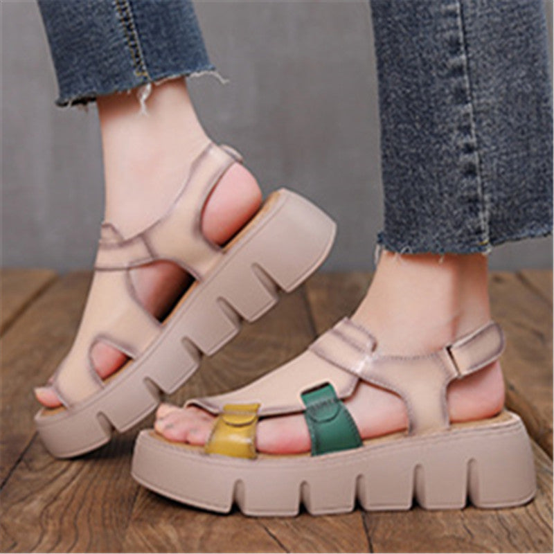 H99522853fd3c49dcbc65d24982e62c9cM.jpg