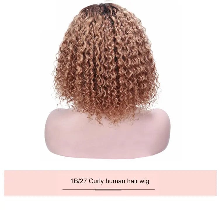 Colored Wig Brazilian Human Hair