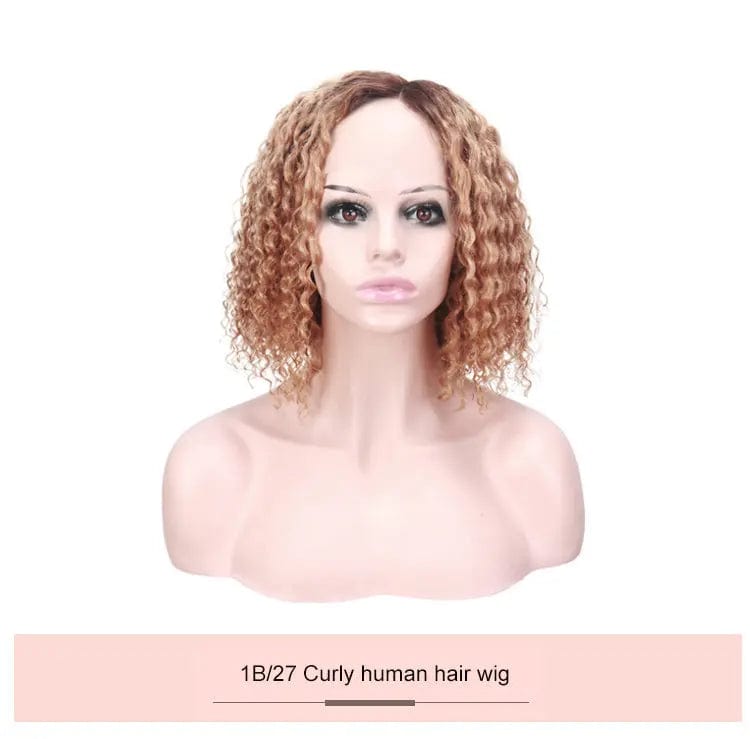 Colored Wig Brazilian Human Hair