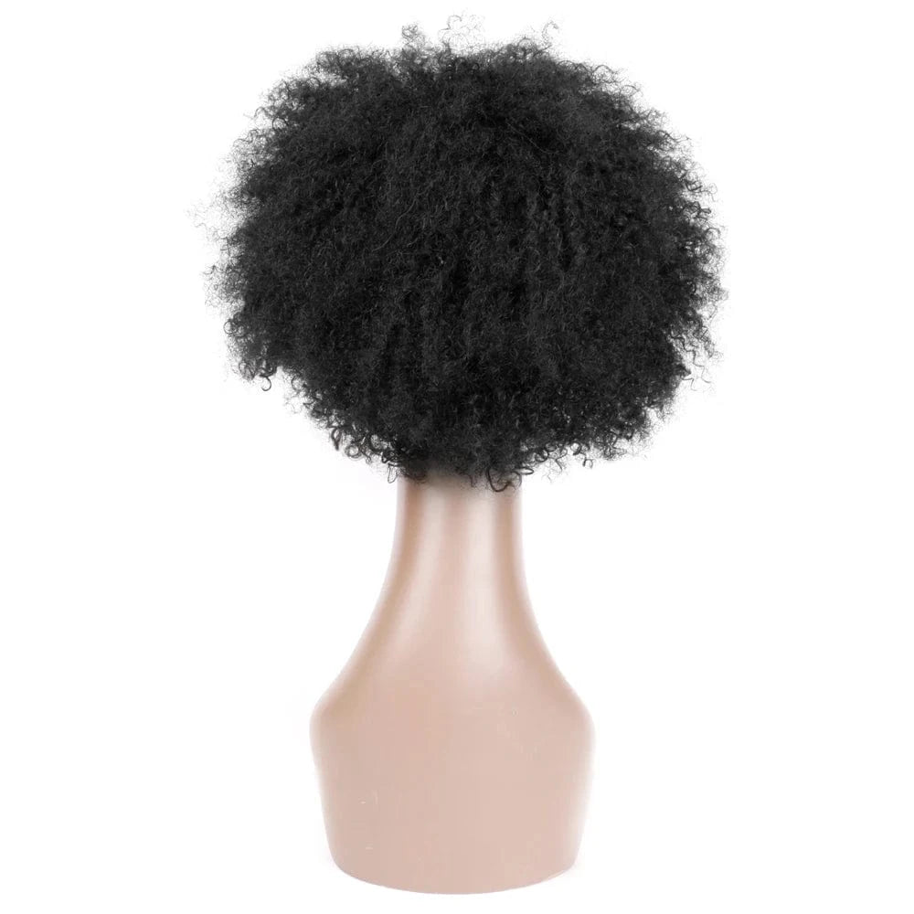 FH Afro Kinky Curly Human Hair Wigs 10 Inch Virgin Brazilian Hair Wig for Women