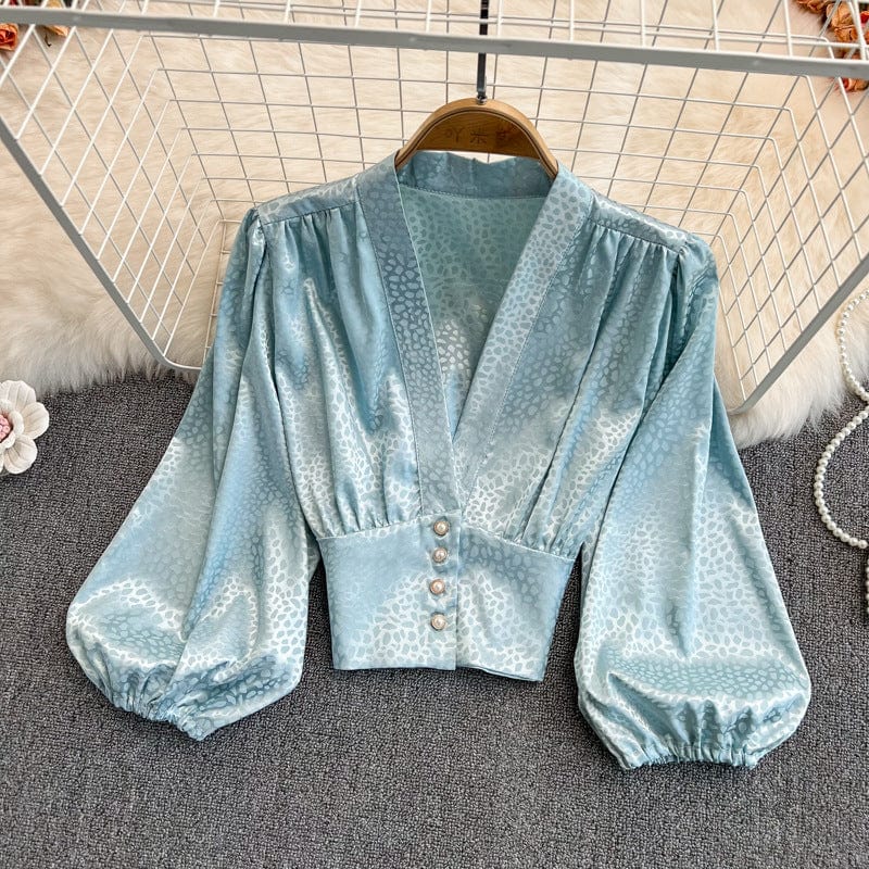 Free / Blue 2022 best sell Leopard print shirt elegant women ladies' blouses tops for women