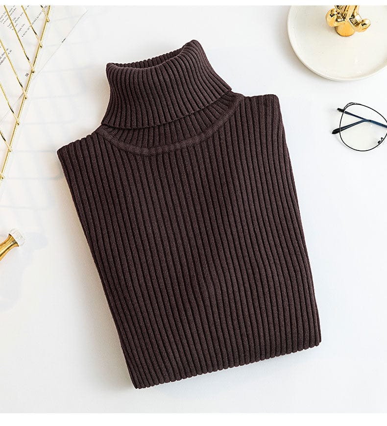 Free / Coffee New Spring Autumn Knit Long sleeve Turtleneck Pullover Solid Color High Neck Jumper Bottoming Shirt Knitted Sweaters T15501Y