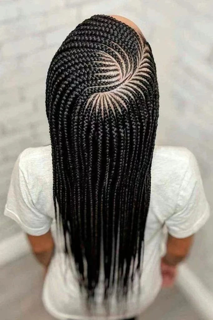 Hd Lace Frontal Wig Human Hair Raw Brazilian Human Hair Braided Lace Front Wigs For Black Women Vendor Glueless Full Hd Lace Wig