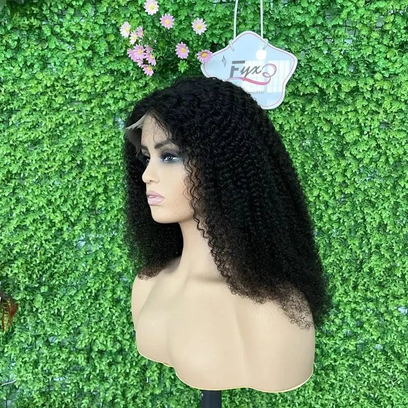 HD Lace Wig Transparent Swiss HD Full Lace Wig Cuticle Aligned Raw Brazilian Human Hair HD Lace curly Frontal Wig