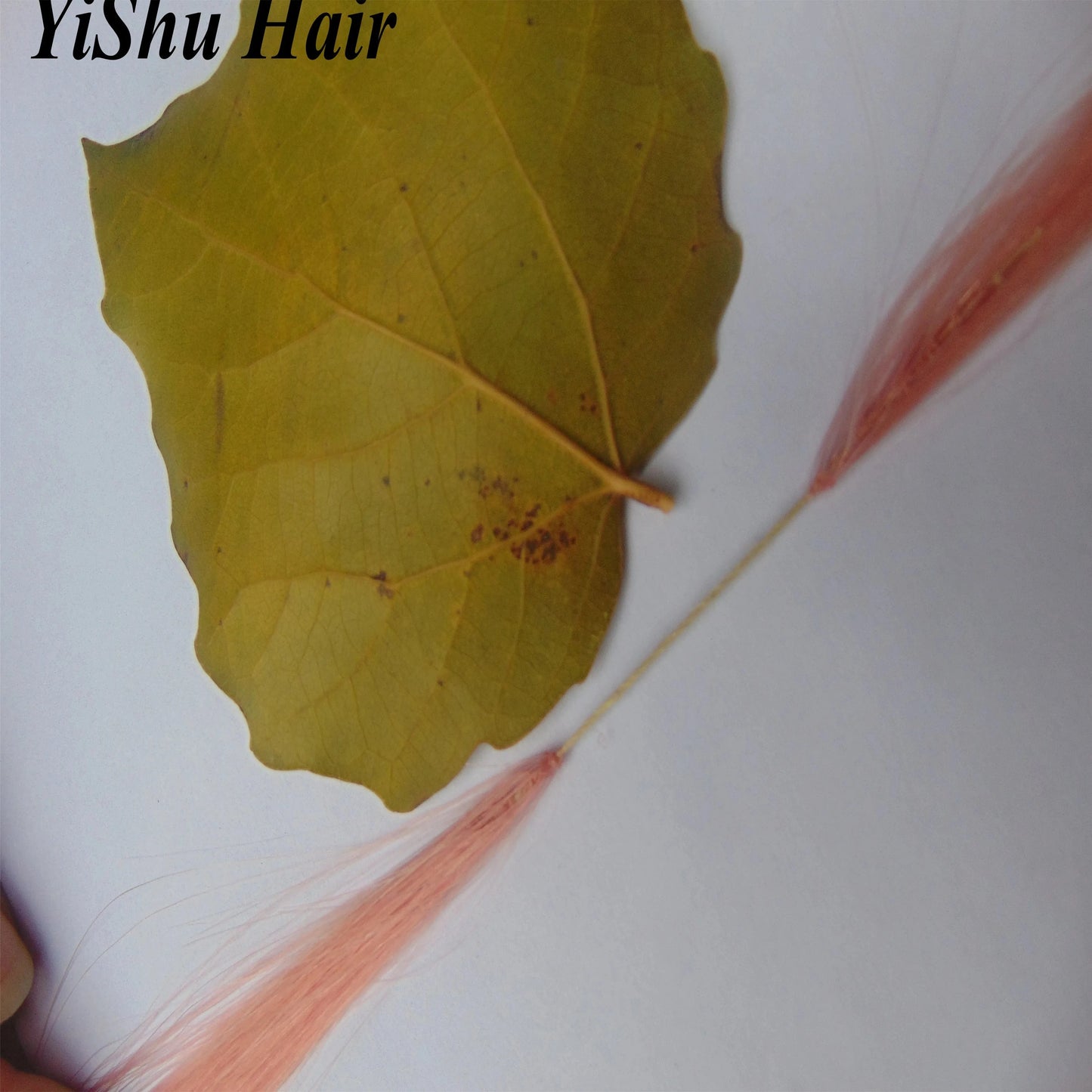 Hot sell and use virgin indian human hair with feather line hair extension popular in salon best quality
