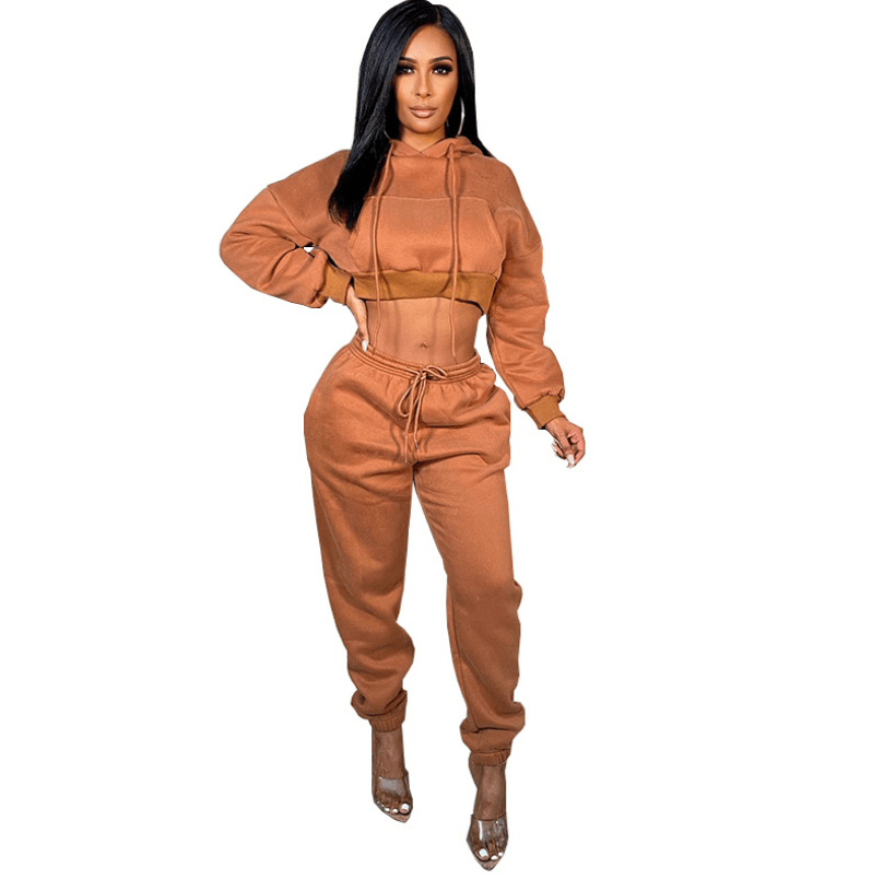Latest Casual Crop Top Hoodies Set Long Sleeve Sport Gym Fleece Pullover Plain Crop Top Women'S Hoodies Set